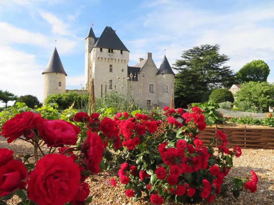 Fête des roses du Rivau