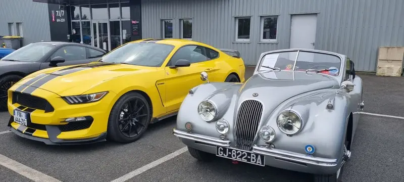Ford mustang et jaguar