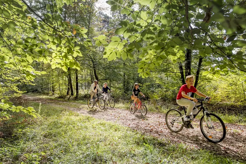 Forêt domaniale de Loches-cyclo-loches-valdeloire