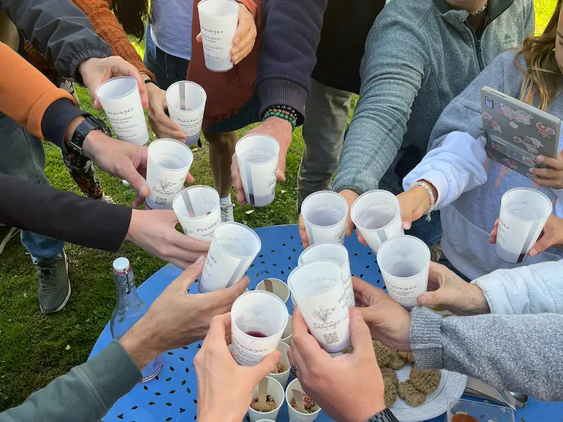 Formation découverte et initiation plantes sauvages-4