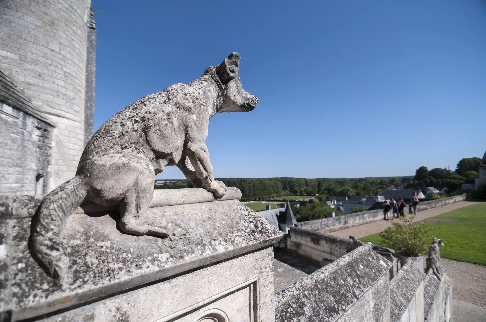 GV_Chateau-LOCHES-302761