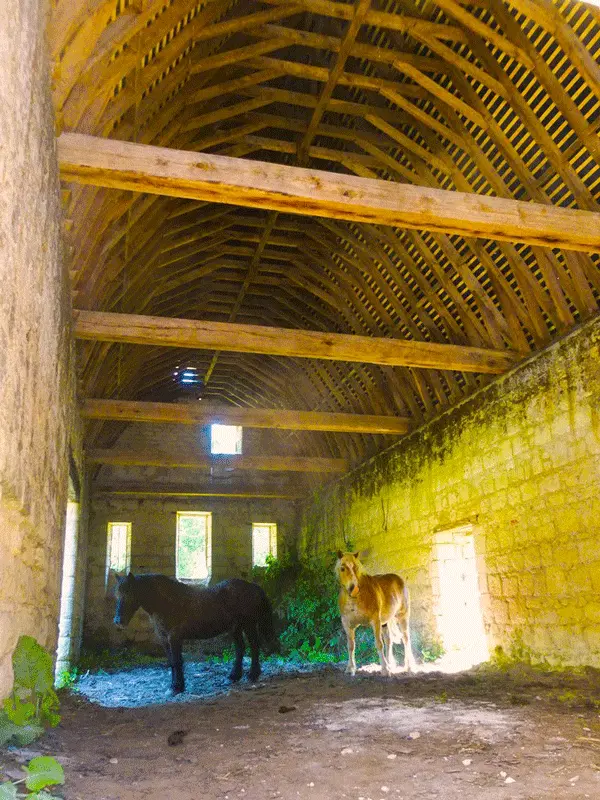 Grange de l'Isle