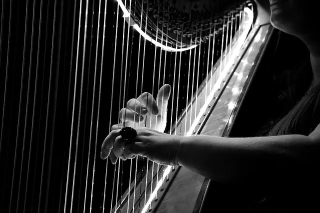 Harpe pixabay