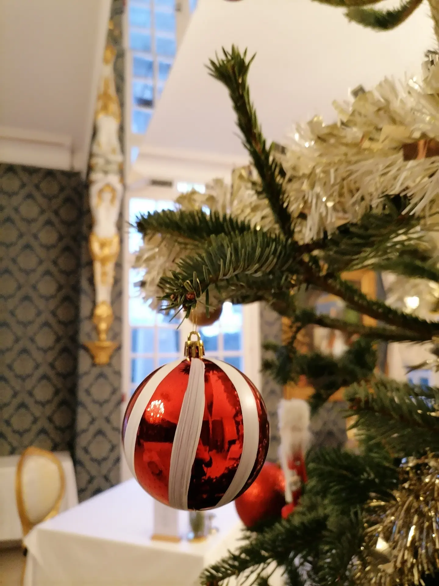 IMG_20251203_084633 (1)