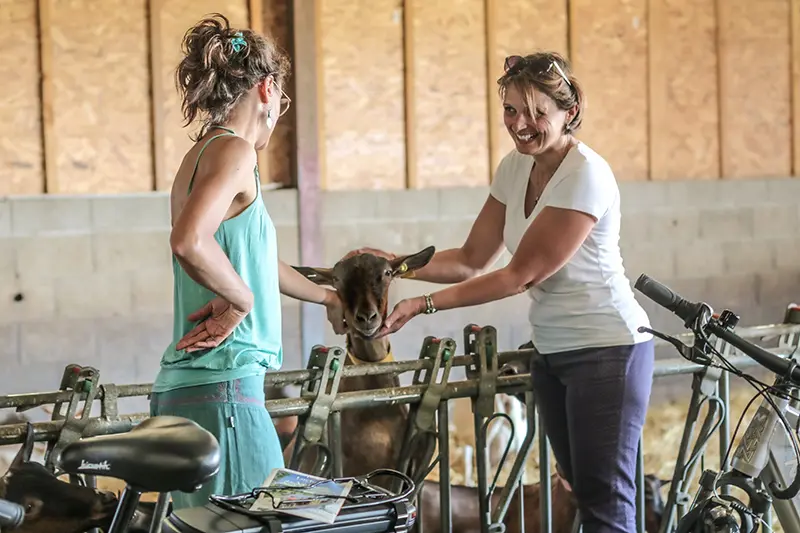 Liaison Vélo La Tangente Gourmande - Fromagerie Le Cabras à Dolus