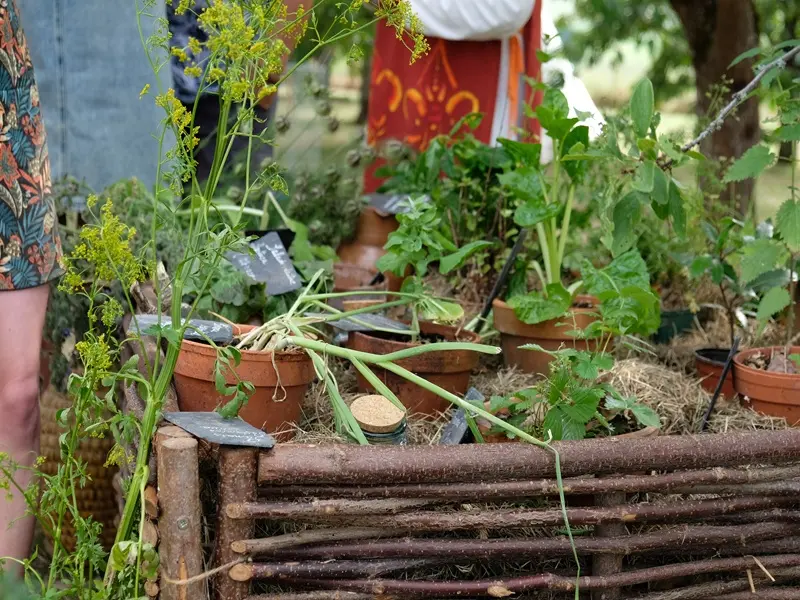 plants-loches-valdeloire