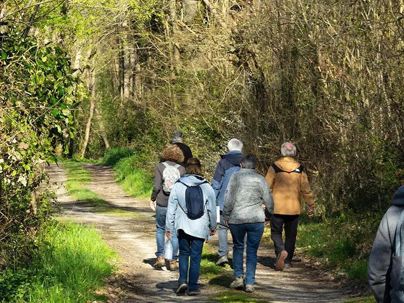La Rando Autour de Chenonceaux - Courçay