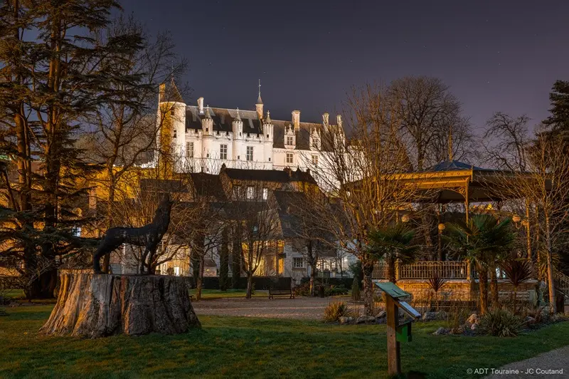 Loches_la_nuit_Credit_ADT_Touraine_JC_Coutand-2030-43