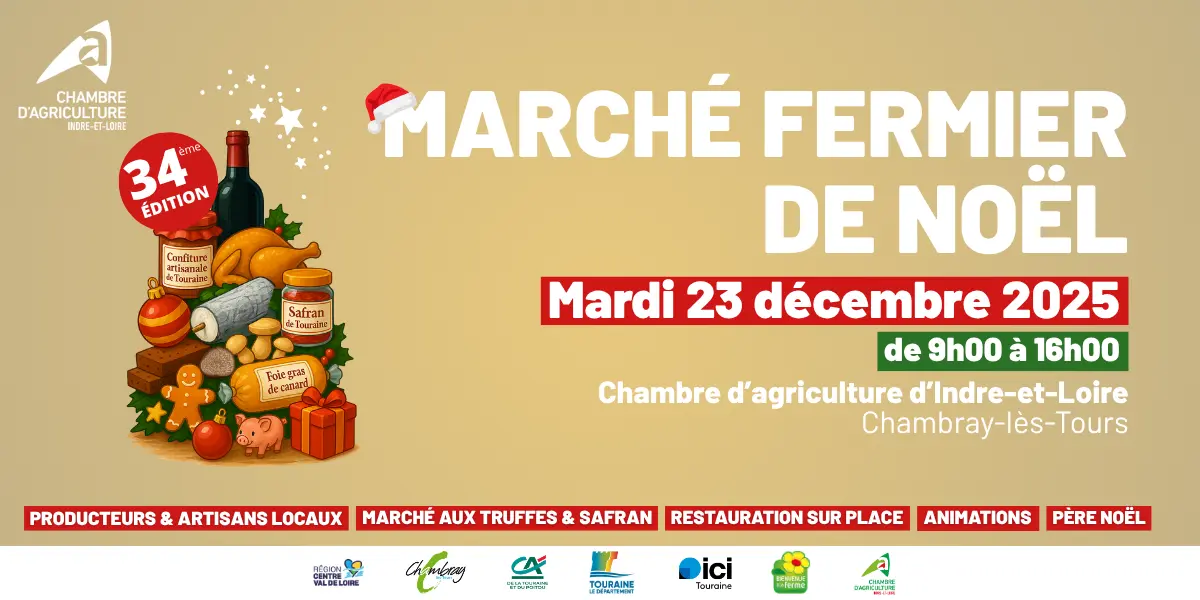 2025_MARCHENOEL_1200x600px - 1