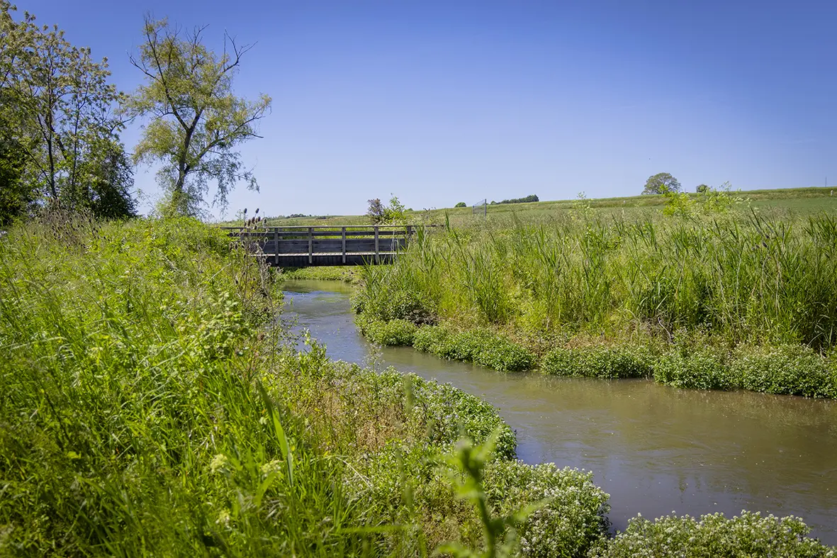 Marais de Taligny visite 05 25 FabB CT7A5465