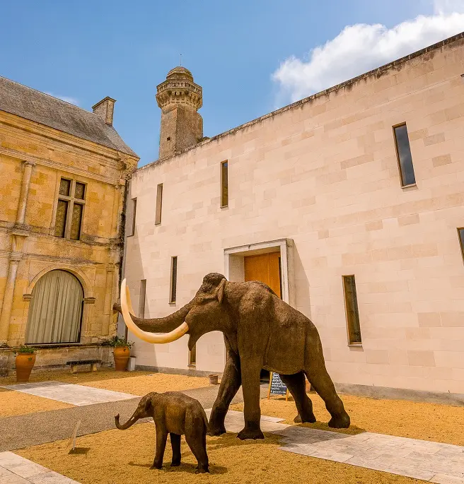 Musee_Grand_Pressigny_Credit_ADT_Touraine_JC_Coutand_2030-109 (11)