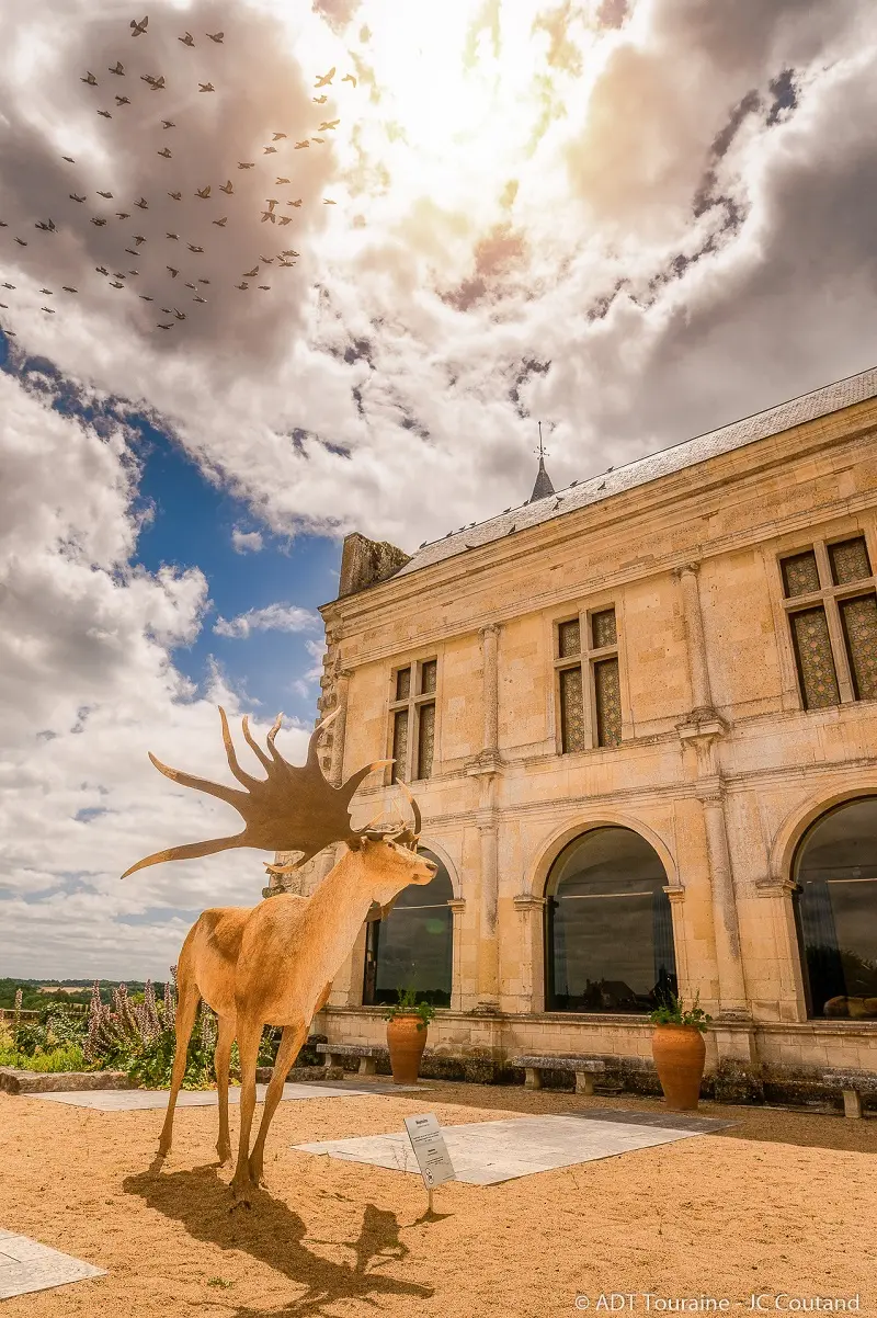 Le musée du Grand Pressigny et ses animaux