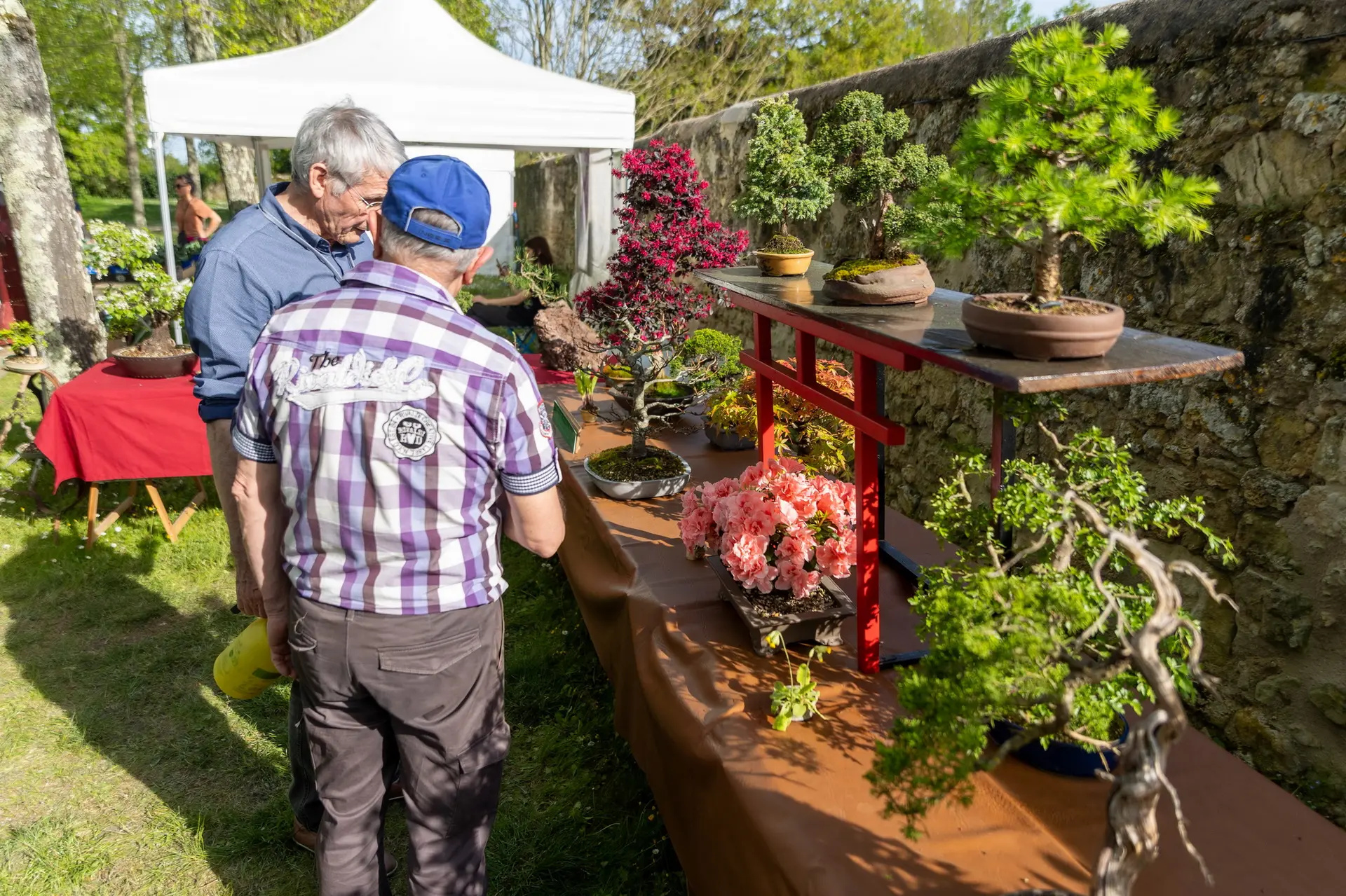 Nature en fete - Saint-Avertin (2)