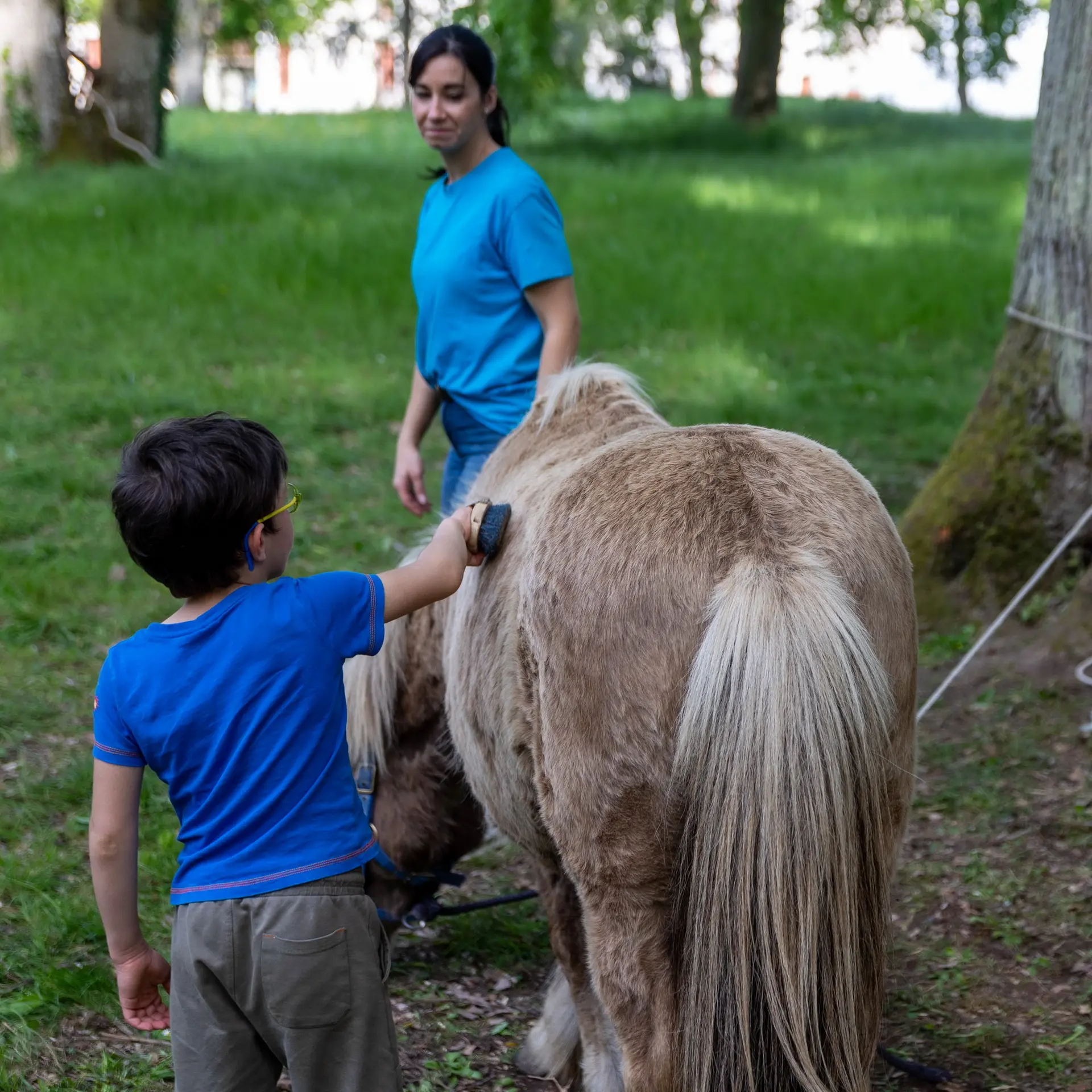 Nature en fete - Saint-Avertin (4)
