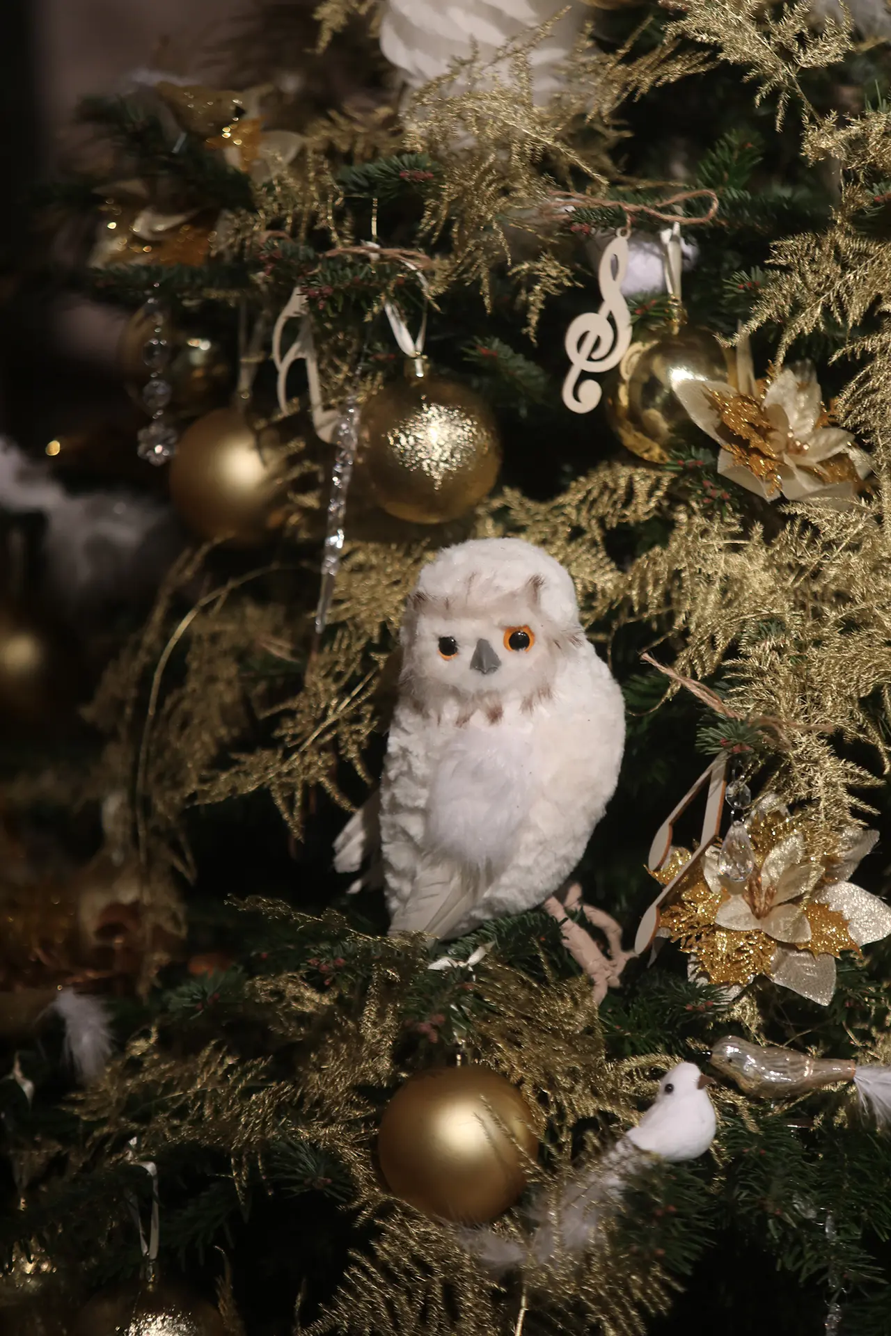 Noël-Langeais(3)©Pierre Holley