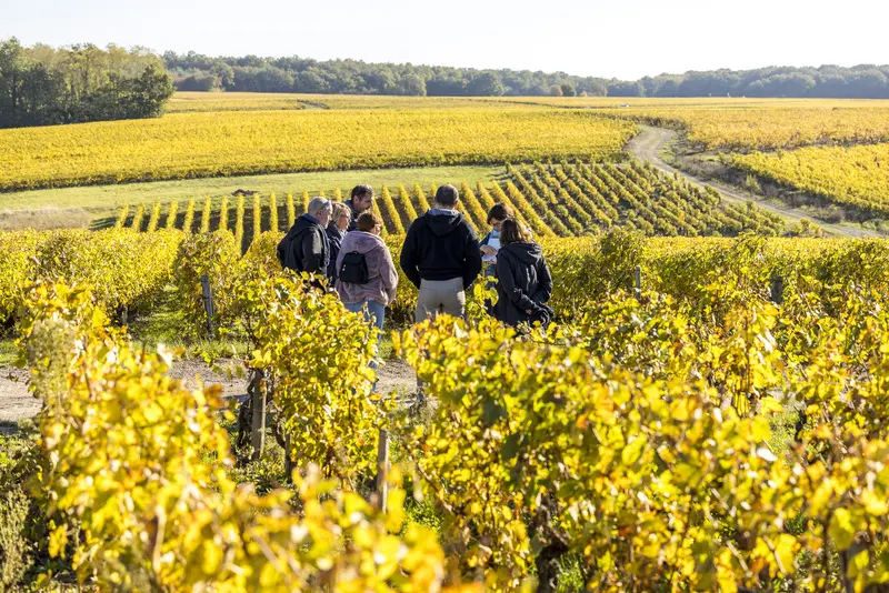 RV_dans_les_Vignes_1889_credit_DDarrault_CRTCentrevaldeLoire