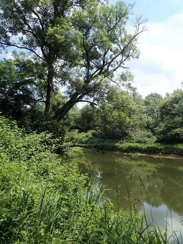 Randonnée dans le bocage de Bois Chétif