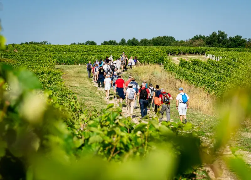 Randonnées Terroir de Vouvray-Crédit-Julien-Raimbault
