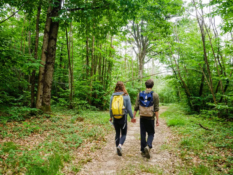 Rando en forêt
