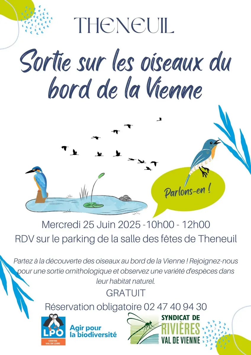 Sortie sur les oiseaux du bord de la Vienne Theneuil 25 juin 2025