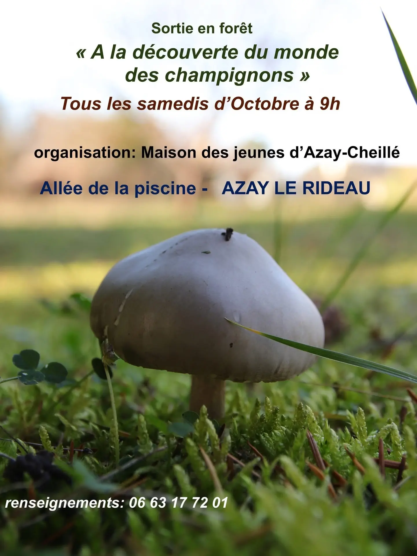 TVI - 4 au 25.10 - Azay - Champignons