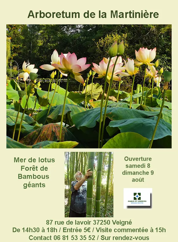 TVI - 8 et 9.08 - Veigné - Arboretum