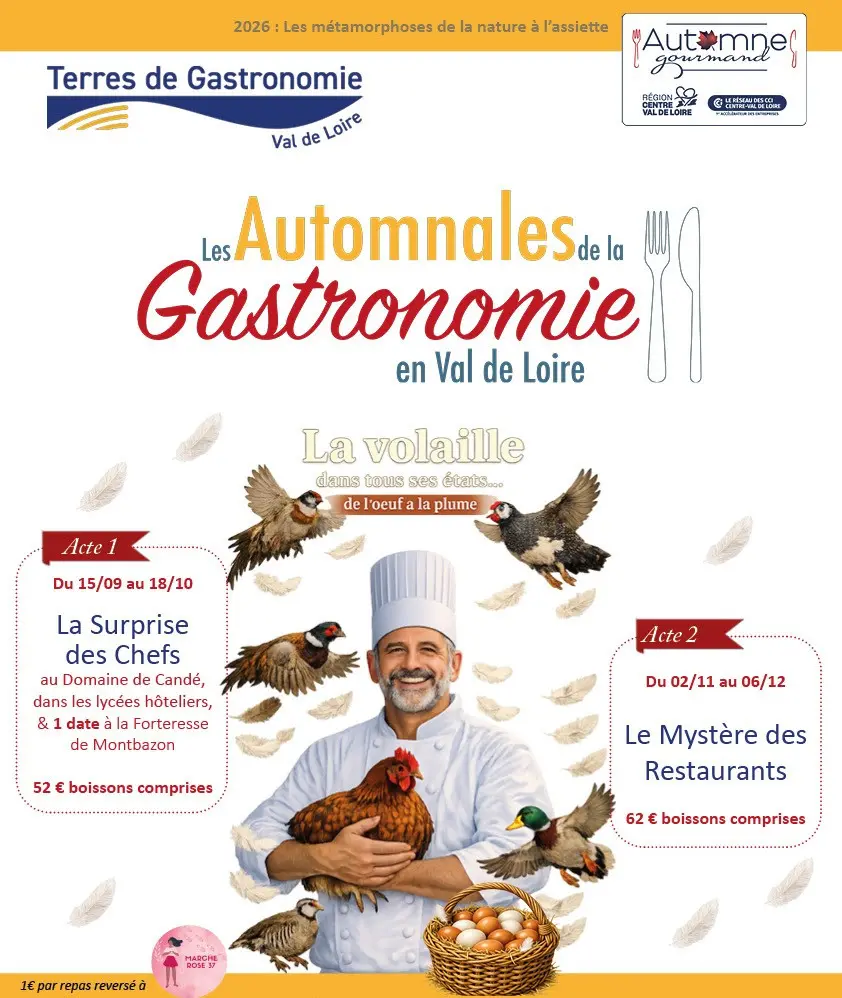 TVI - 15.09 - 18.10 Automnales de la gastronomie
