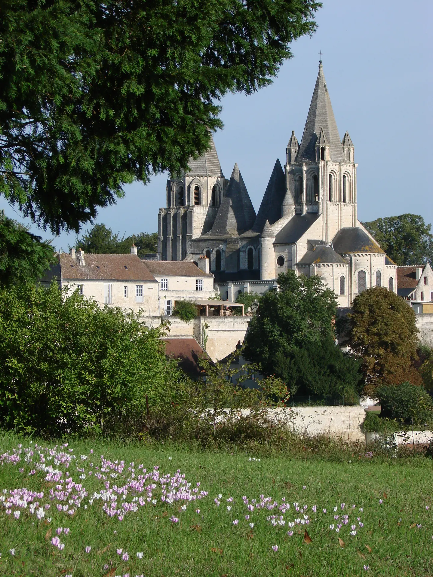 Ville de Loches - Collégiale Saint-Ours (2)