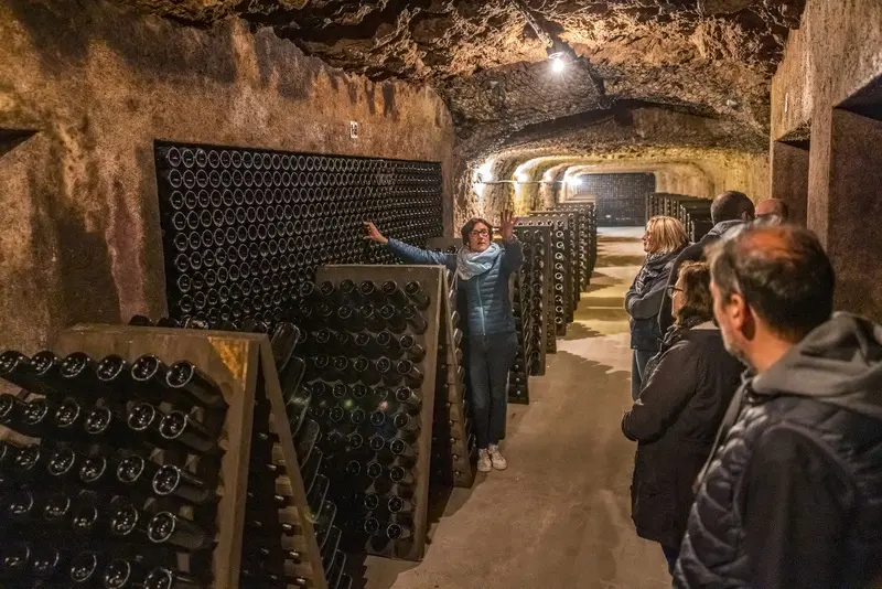 Visite_cave_ARobert_2102_credit_DDarrault_CRTCentrevaldeLoire