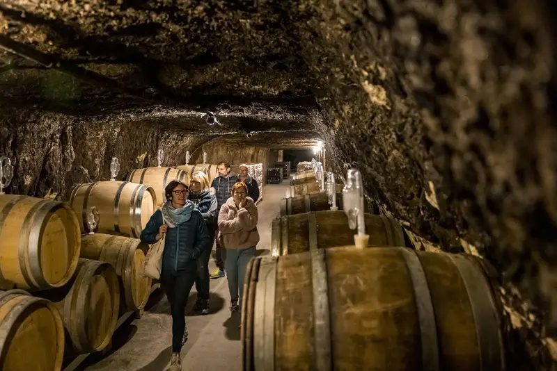 Visite_cave_ARobert_2209_credit_DDarrault_CRTCentrevaldeLoire