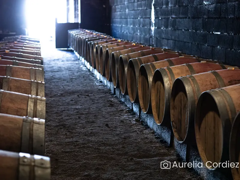 Visite et dégustation
