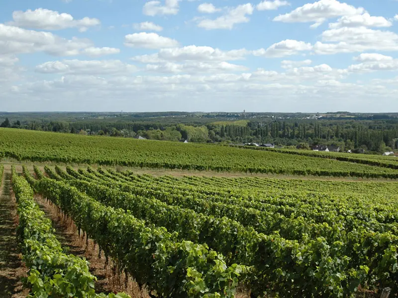 cave-pere-auguste05