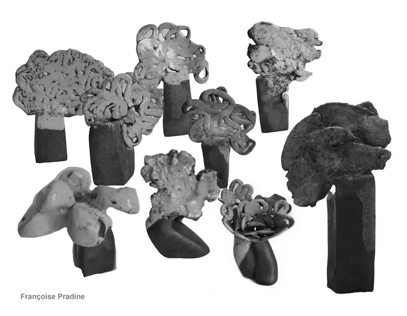 céramique – Raku de Françoise Pradine