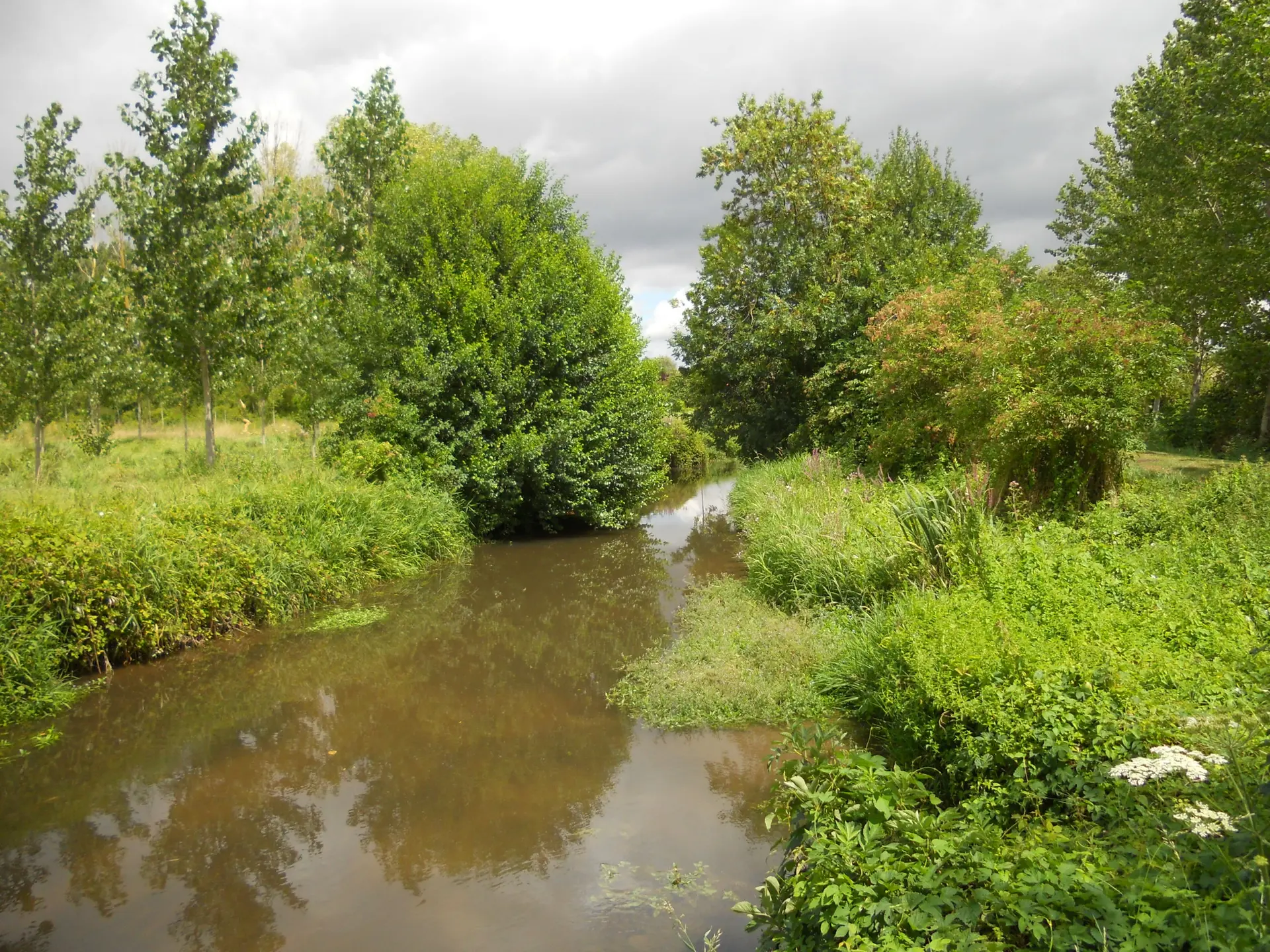 Randonnée de Champigny-sur-Veude