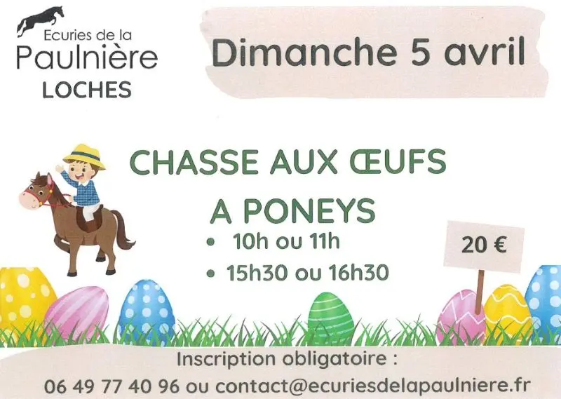 chasse-oeufs-poney-ecuriesdelapaulniere-loches