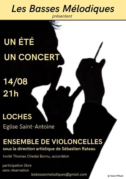 concert-duo-lesbassesmelodiques-14-08-loches-valdeloire
