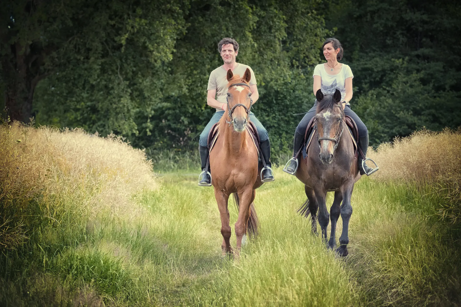 Randonnée équestre