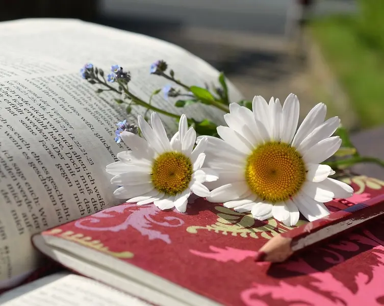 livre