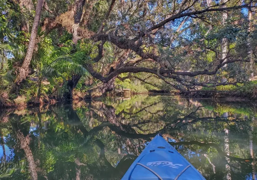 estero-river-5949353_1280-e1761147423560