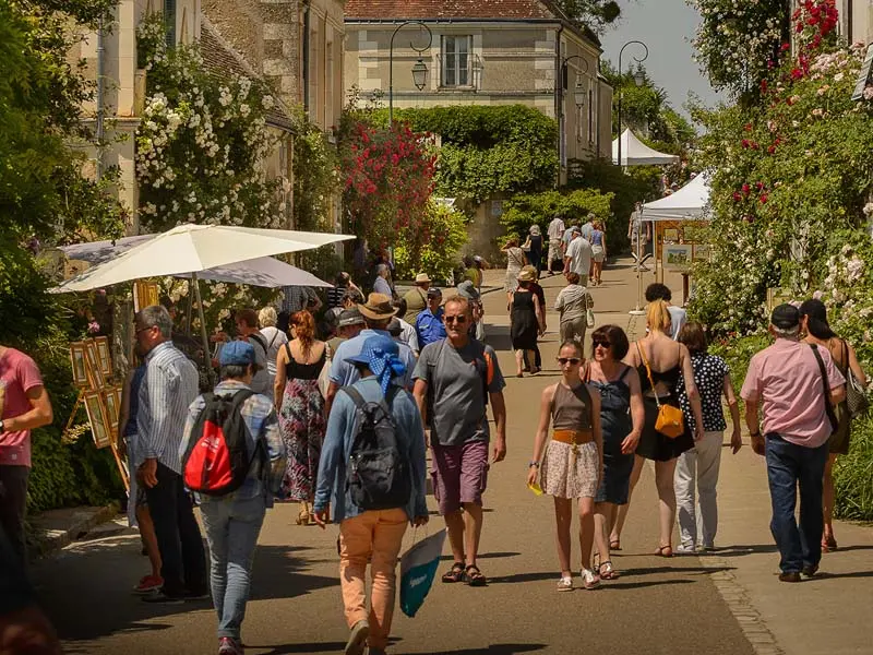 Festival des roses de Chédigny