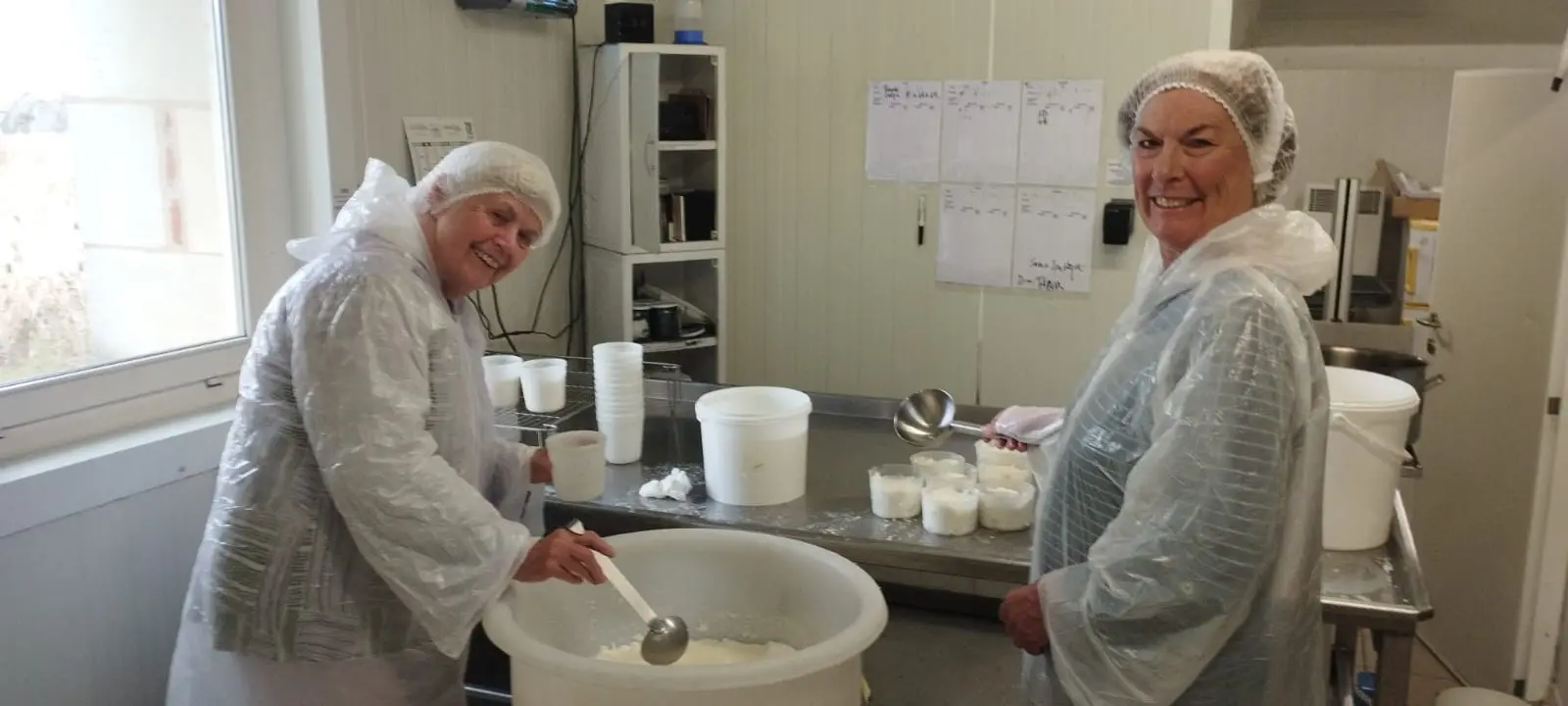 immersion fromagerie
