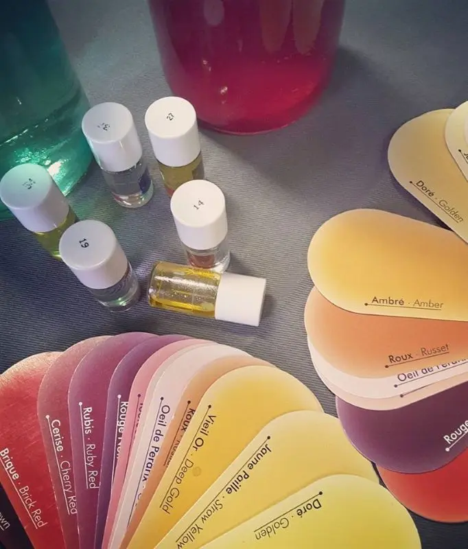 initiation-degustation-oenologie-vin-apprendre-deguster-Tours-Vouvray-Amboise-RDV-Vignes