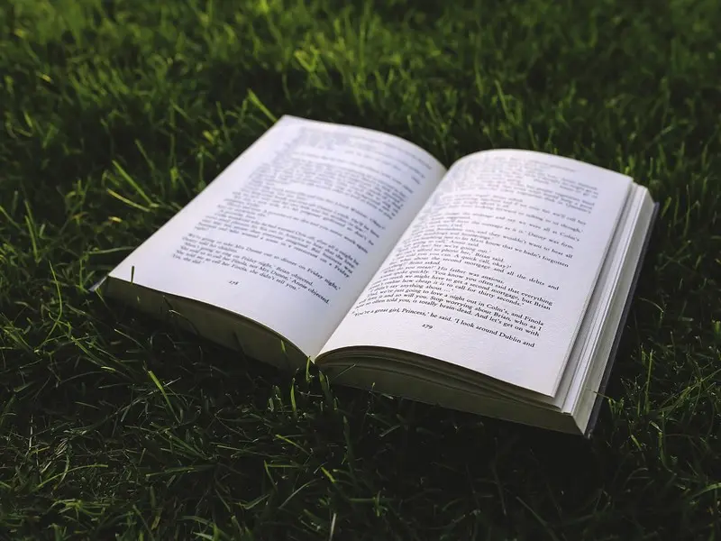 ottn-2024-livre
