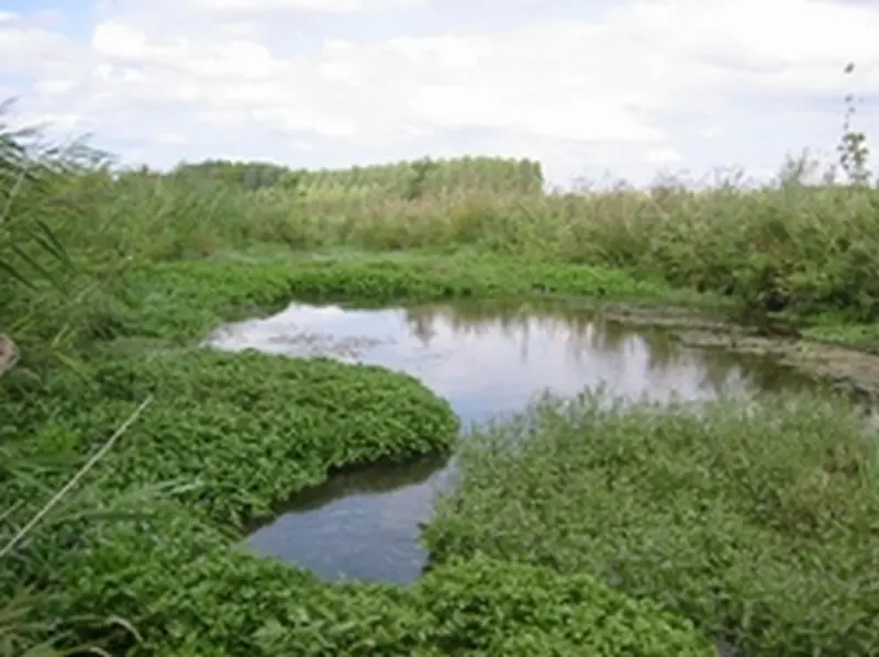 marais de taligny