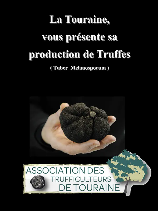 flayer truffe2016 light - noir.pub