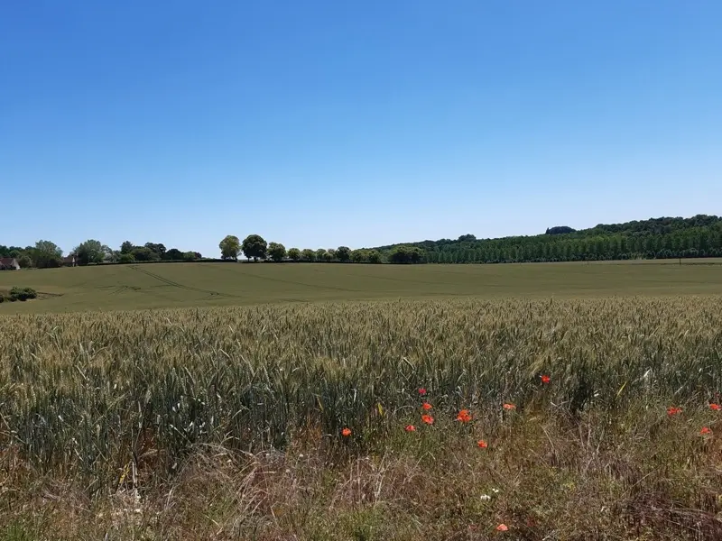 Randonnée de Montrésor - Le chemin des légendes