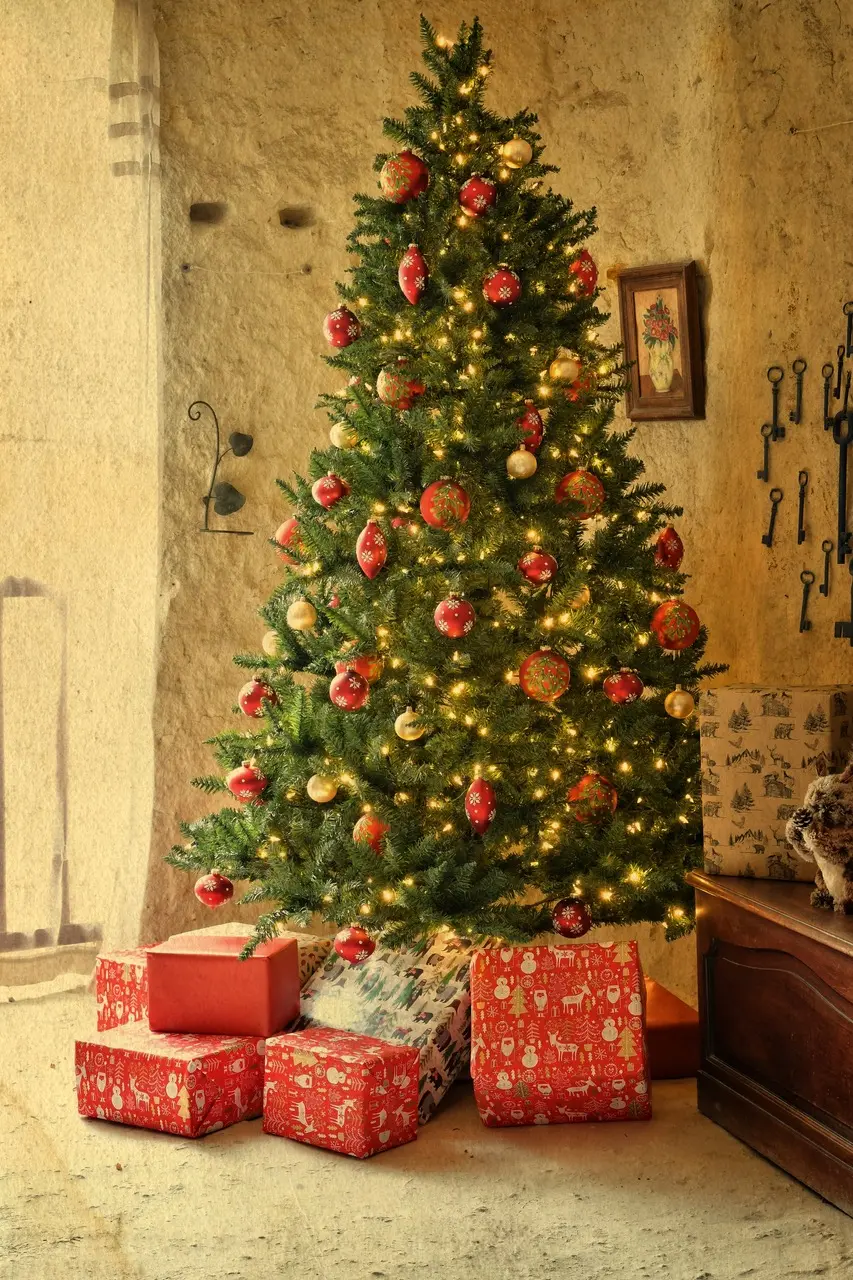 noel à la magnanerie-troglo Bourré Montrichard-Noel en Sud Val de Loire  (2)