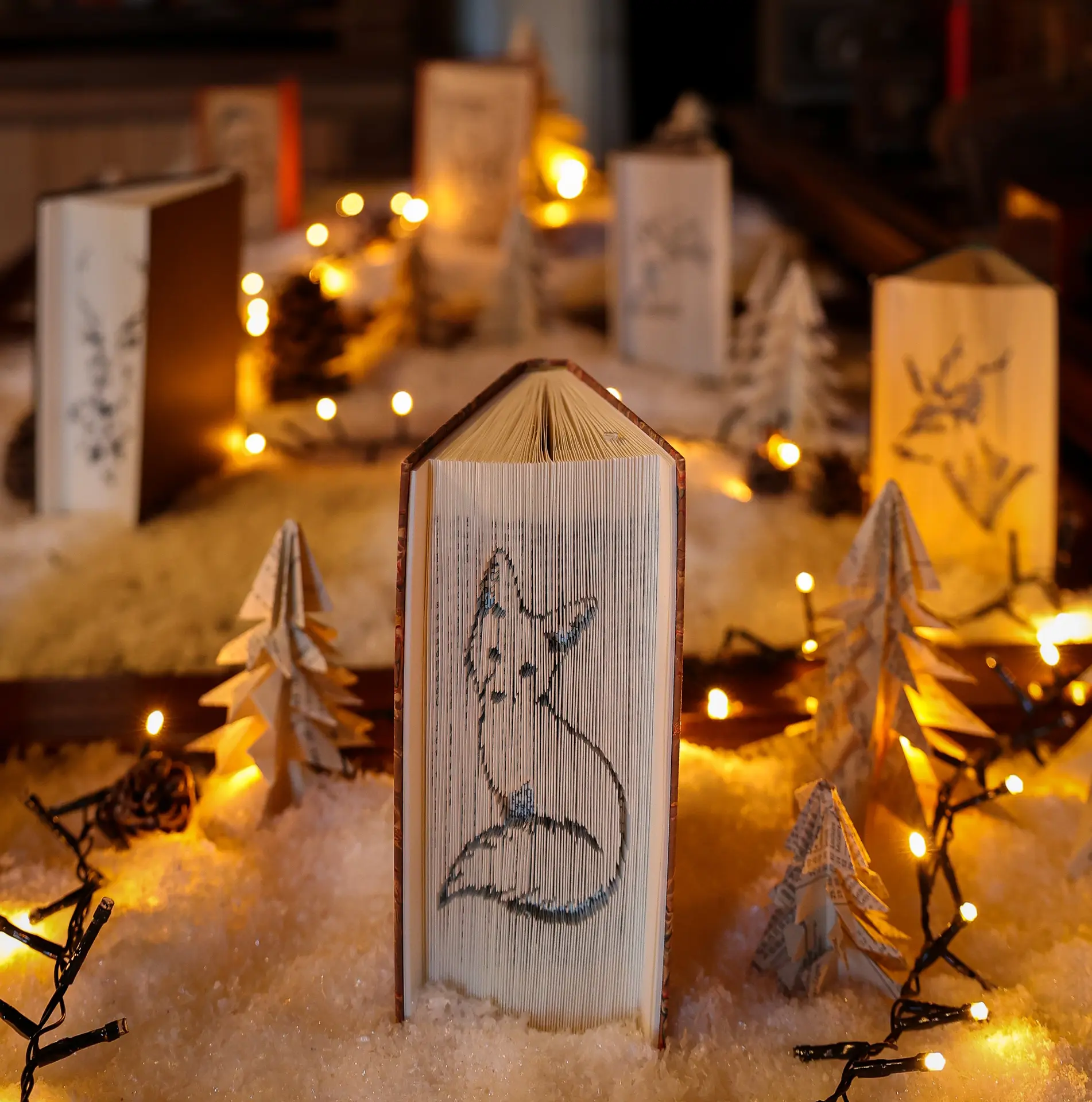 noel-chateau-montpoupon-bibliotheque