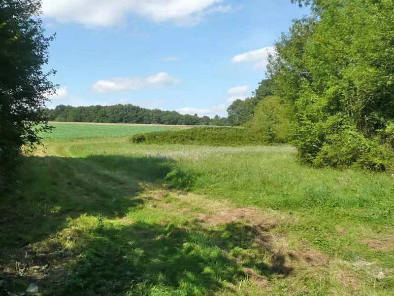 Randonnée de Nouans-les-Fontaines - Touraine
