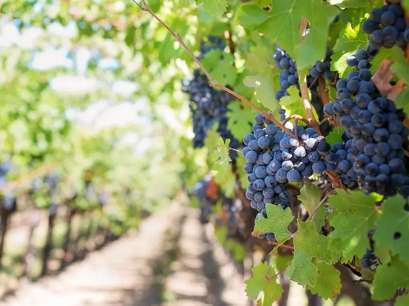 ottn - 2024 - PO domaines generalistes
